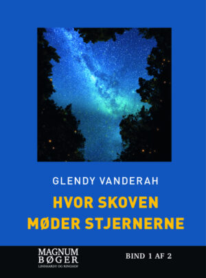 Hvor skoven møder stjernerne (Storskrift) - Bog af Glendy Vanderah - Indbundet