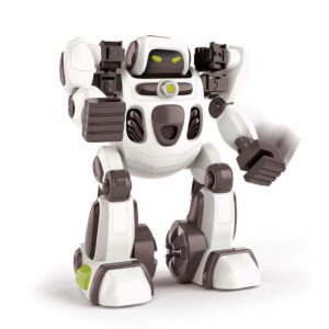 Clem. Padle The Ai Robot