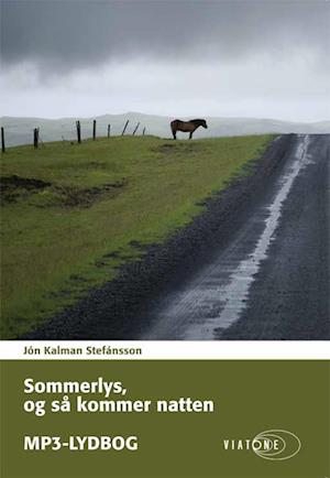 Sommerlys, og så kommer natten - Jón Kalman Stefánsson - Lydbog